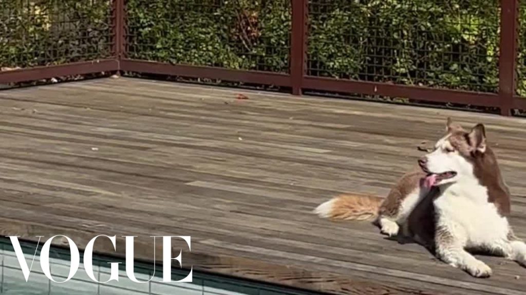 Charles Melton With His Cover Dogue, Neya