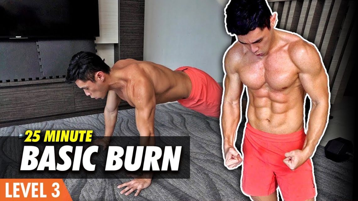 Basic FULL BODY  No Equipment Home Workout (Level 3)