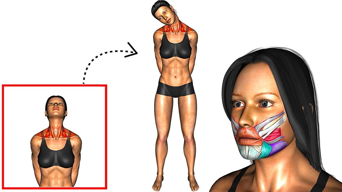 Best Morning Exercise Warm Up and Stretch At Home