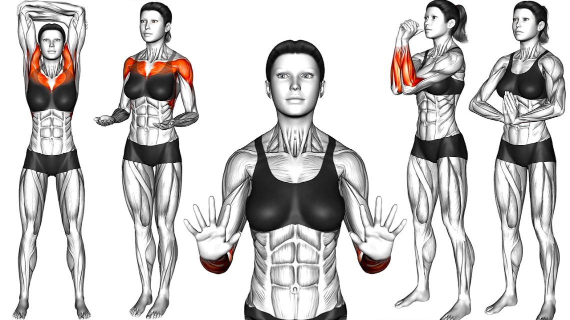 16 Stretches and Exercises for Computer Users