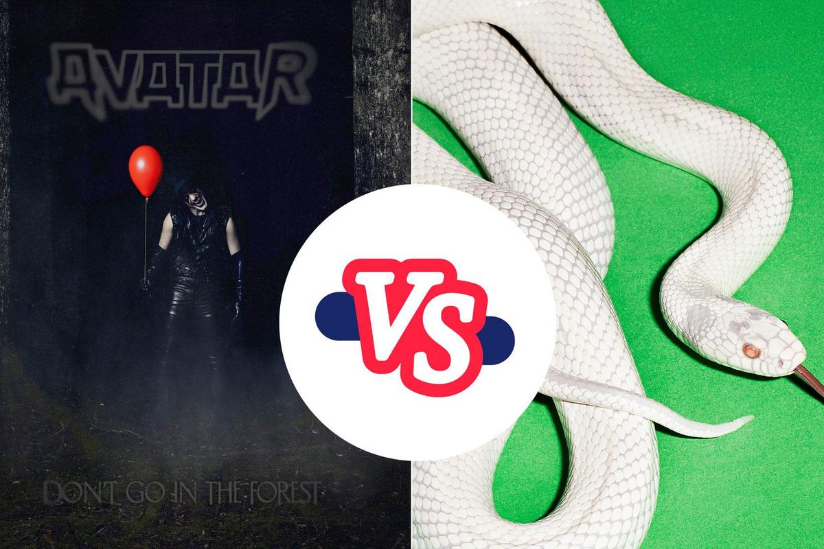 Better 2025 Album – ‘Don’t Go in the Forest’ vs. ‘private music’