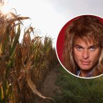 The 9 Biggest Rock + Metal Stars From Indiana