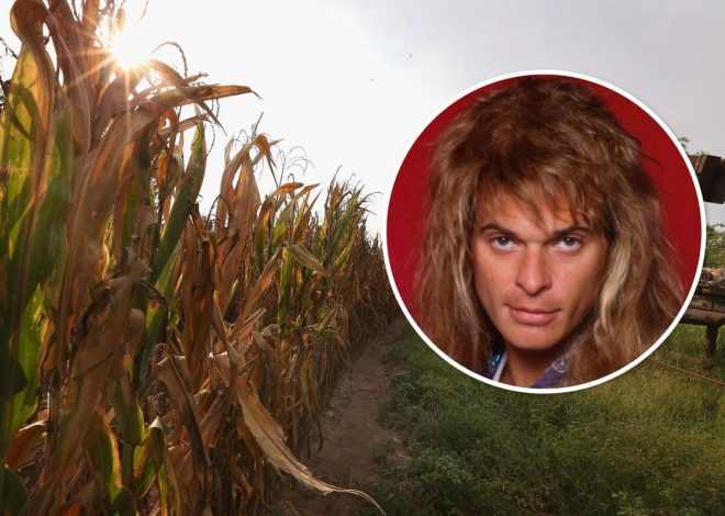 The 9 Biggest Rock + Metal Stars From Indiana